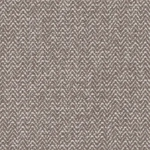 1228-02 Himalaya - Silverfox