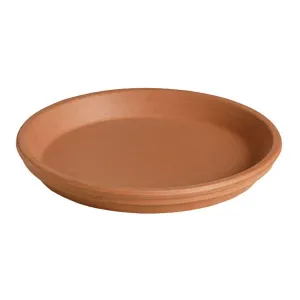 6" Terra Cotta Saucer - Clay