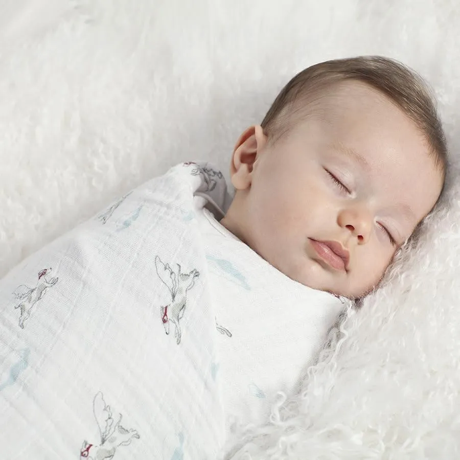 Aden   Anais Classic Swaddles (4pk)