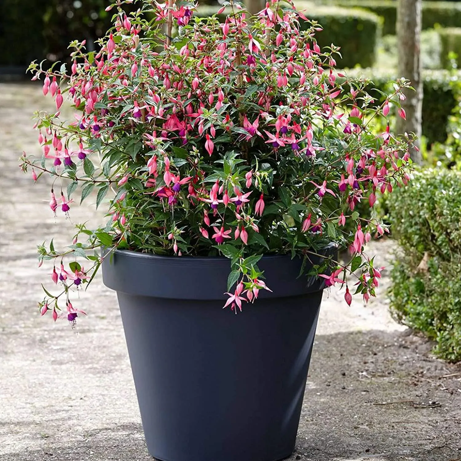 Anthracite Large Flower Pot Planter 35 x 31 cm