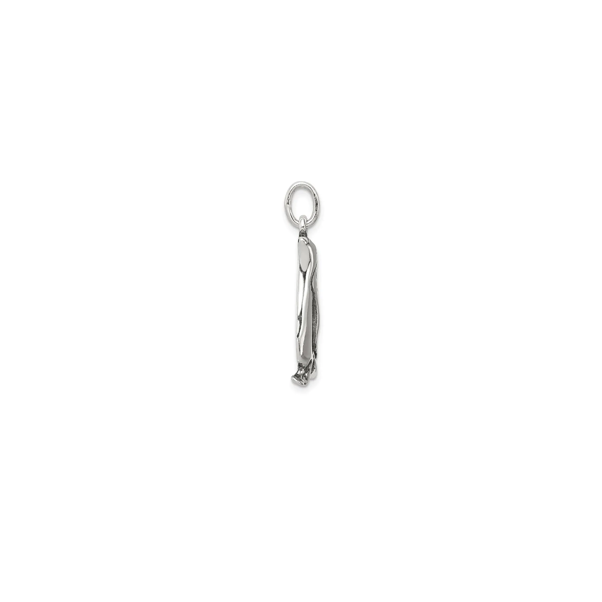 Antique-Finish Penguin Pendant (Silver)