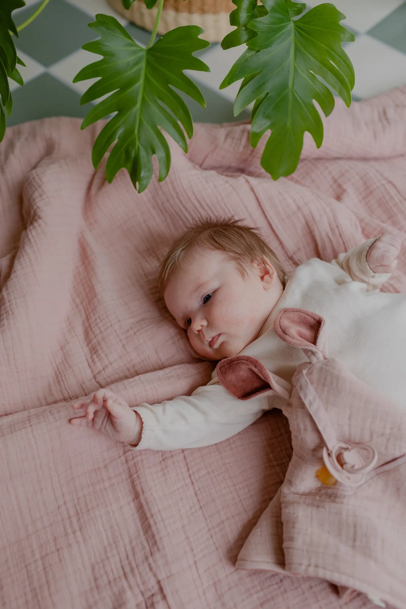 BIBS Cuddle Cloth Kangaroo Sage  (Min. of 2 PK, multiples of 2 PK)