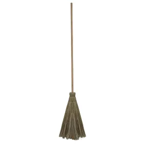 Broom Grass A2730