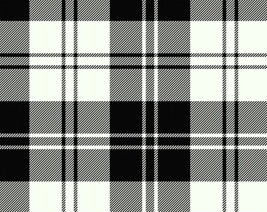 Erskine Black &White Modern Medium Weight 11oz Tartan Cloth
