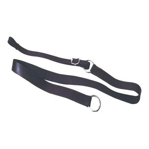Eureka Leather Surcingle