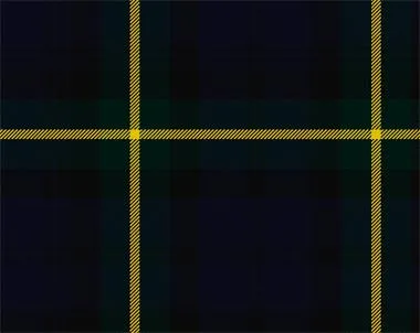 Gordon Modern Light Weight 8oz Tartan Cloth