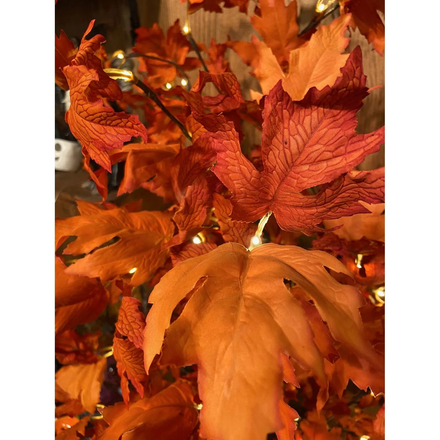 Indoor/Outdoor Electric Lighted Maple Tree, 8'H with 168 Lights,2phl015
