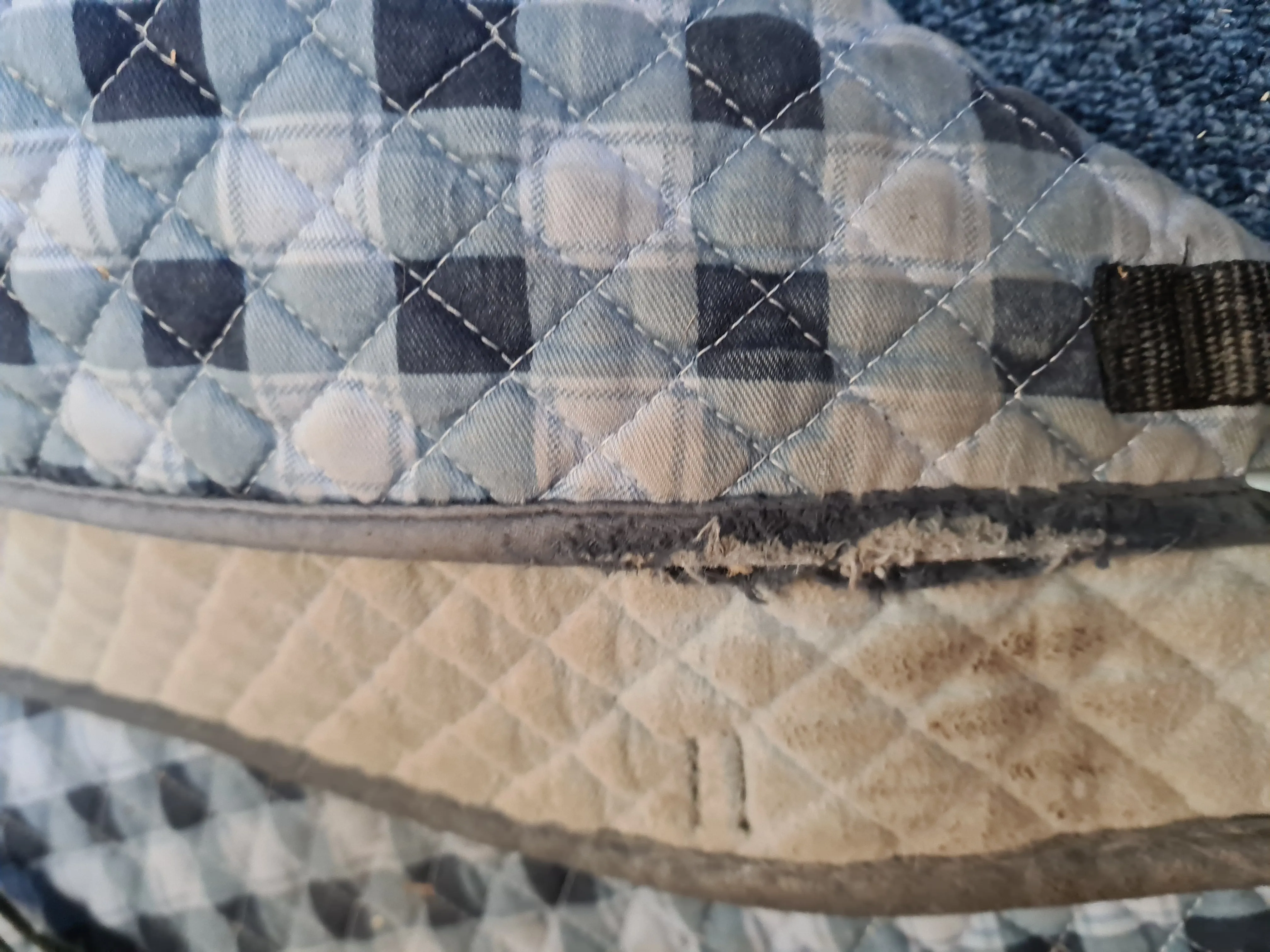 Josef Holscher blue pattern saddle pad in full size (FREE POSTAGE)