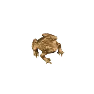 Leopard Frog Box in Antique Brass Finish