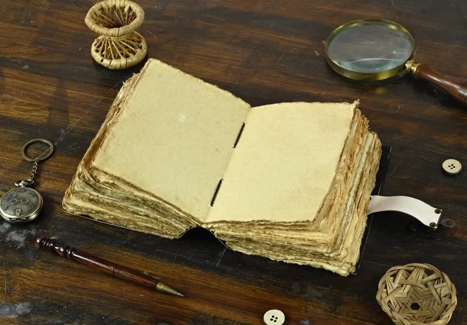 Luna Moth - Vintage Leather Journal