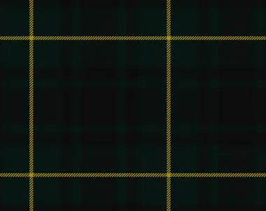 MacArthur Modern Light Weight 8oz Tartan Cloth
