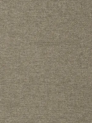 Maia-Linen