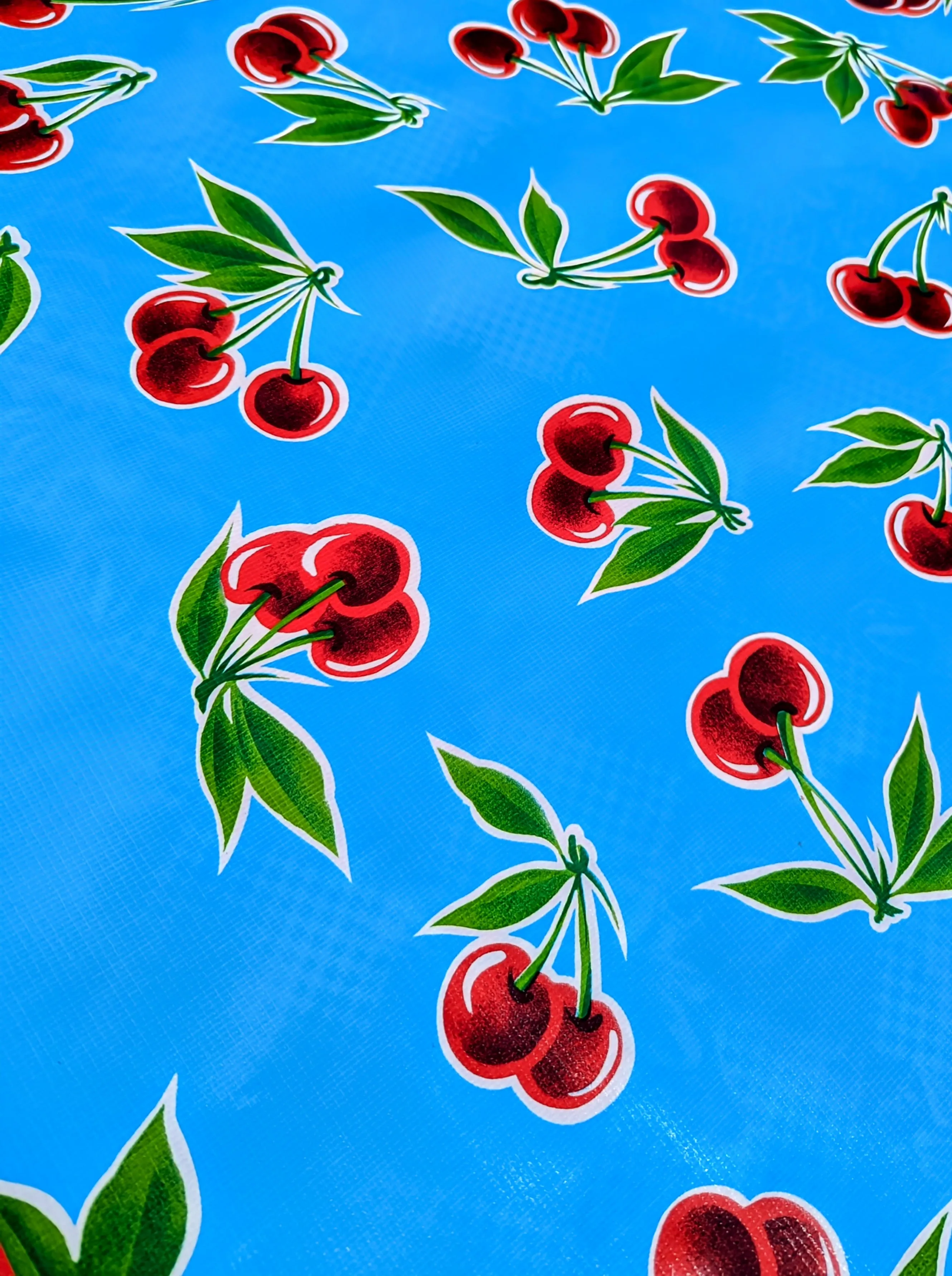 Mexican oilcloth 1.5m x 1.2m