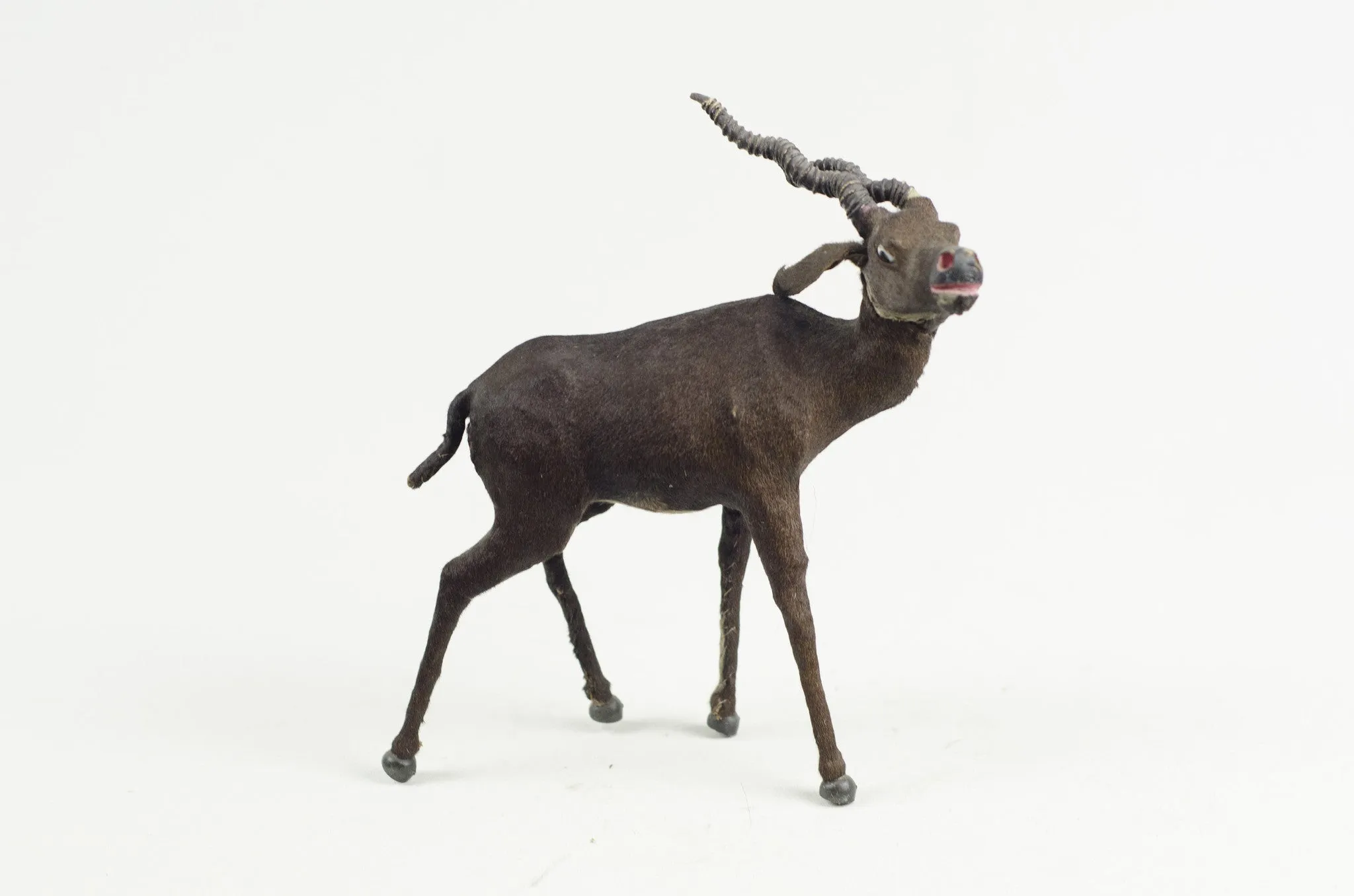 Miniature Taxidermy Antelope