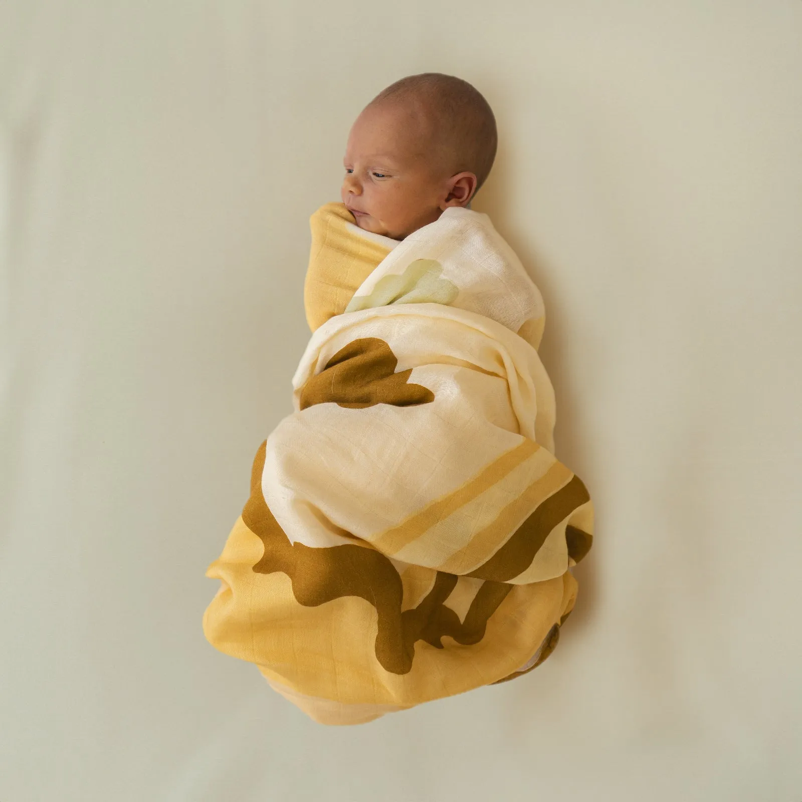 New Dawn Swaddle and Onesie Bundle