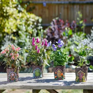 Pixie Pots 10cm (4 Designs)