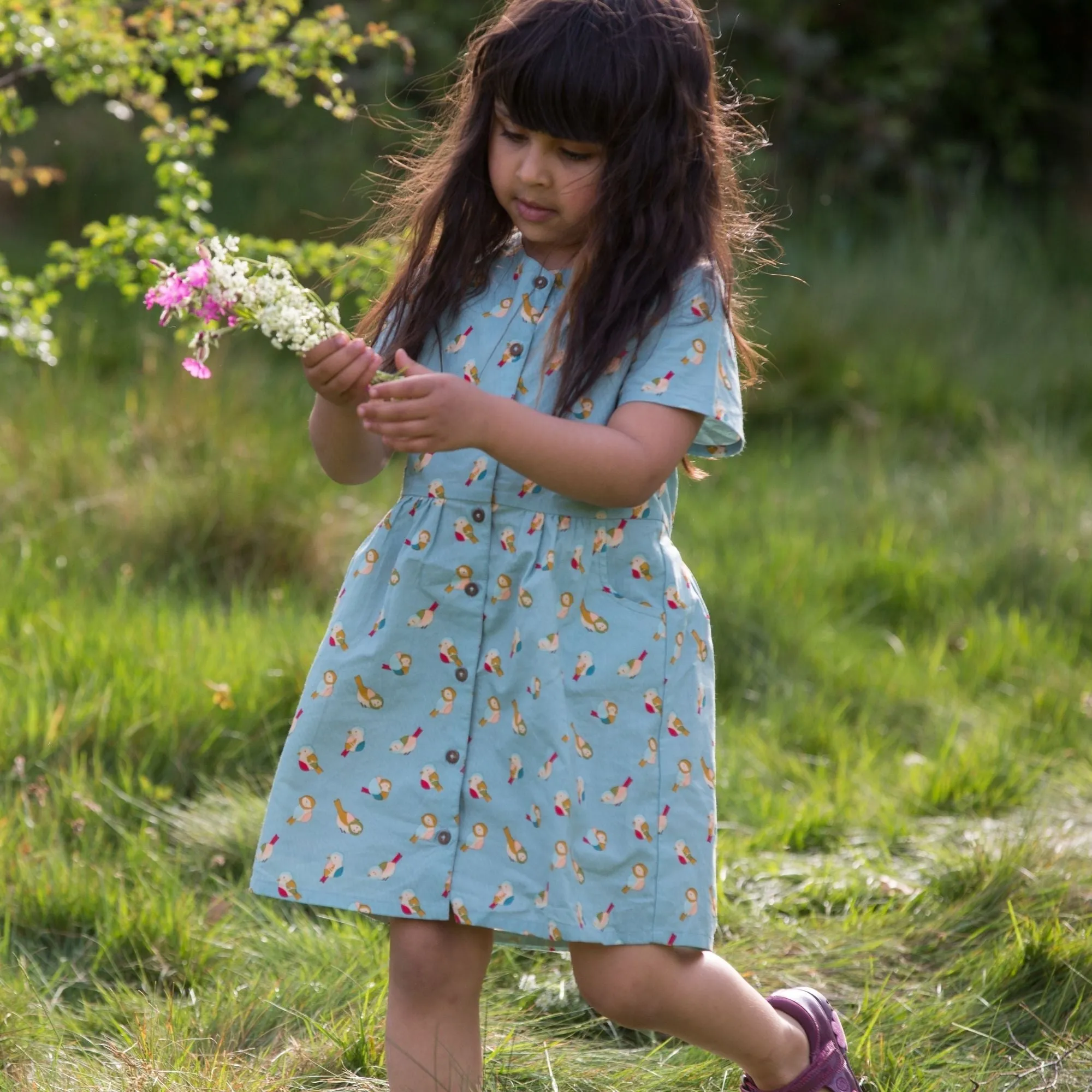 Rainbow Birds Button Through Short Sleeve Dress