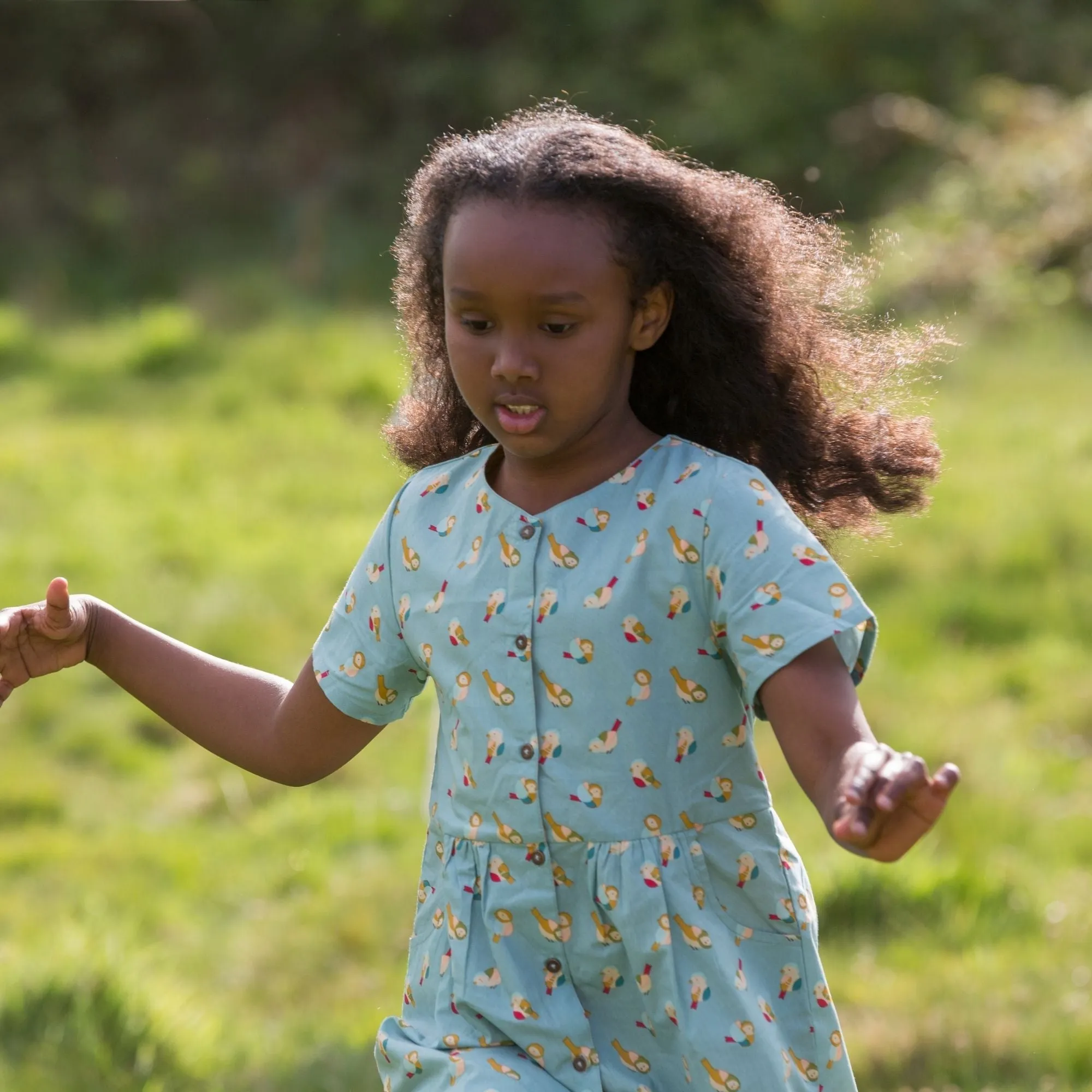 Rainbow Birds Button Through Short Sleeve Dress