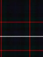 Robertson Hunting Modern Light Weight 8oz Tartan Cloth