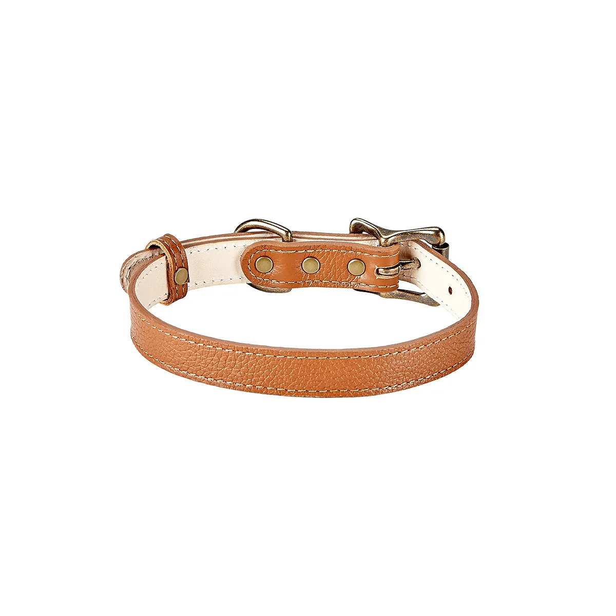 Small Dog Collar