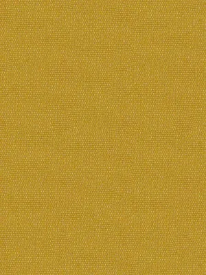 Tabei-Saffron