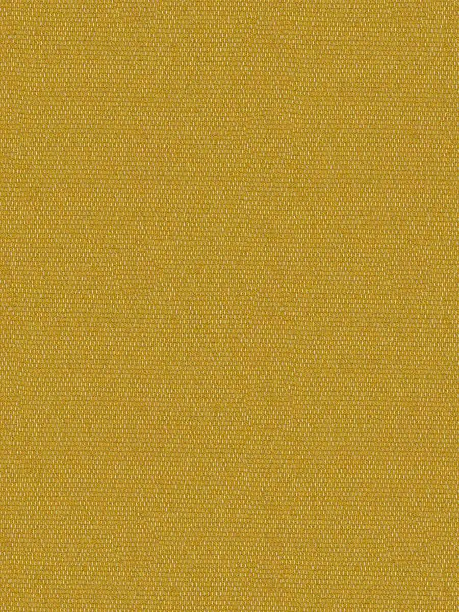 Tabei-Saffron
