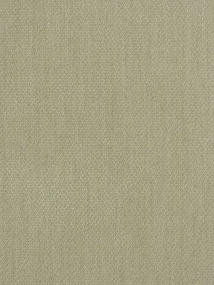 Van De Velde-Cream