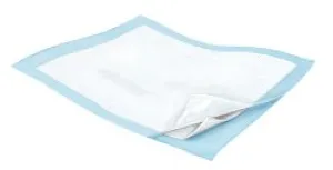 Wingsª Quilted Breathable Disposable Fluff / Polymer Absorbent Low Air Loss Underpad