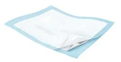 Wingsª Quilted Breathable Disposable Fluff / Polymer Absorbent Low Air Loss Underpad