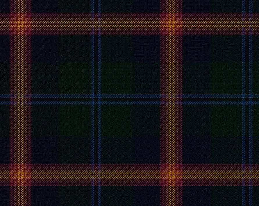 Young Modern Medium Weight 11oz Tartan Cloth